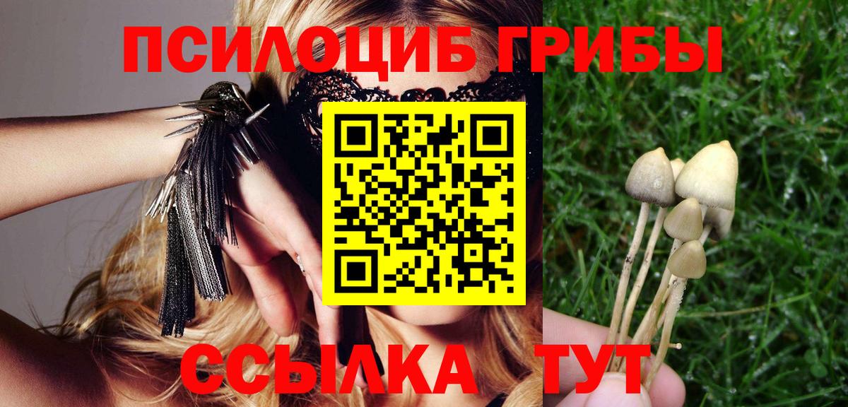 Alpha PVP Каменка