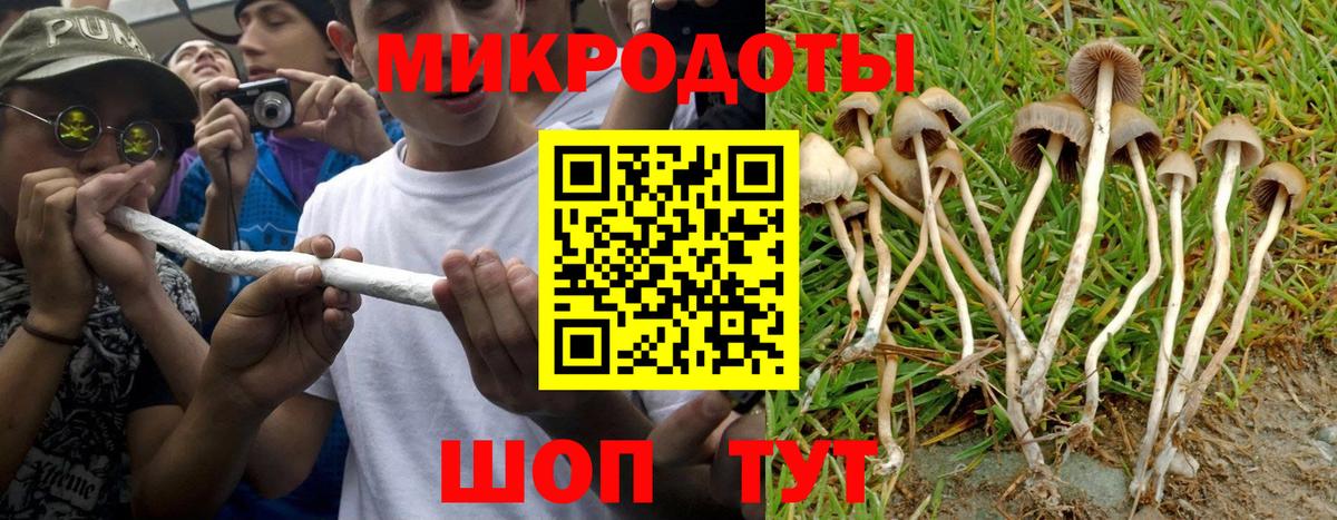 Каменка  Галлюциногенные грибы мицелий  Вход с VPN 
