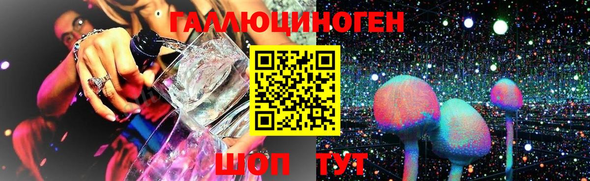Псилоцибиновые грибы Psilocybe Каменка